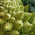 Romanescu broccoli with fractal patterns. Beauty in nature's sounds, smells, and sights.